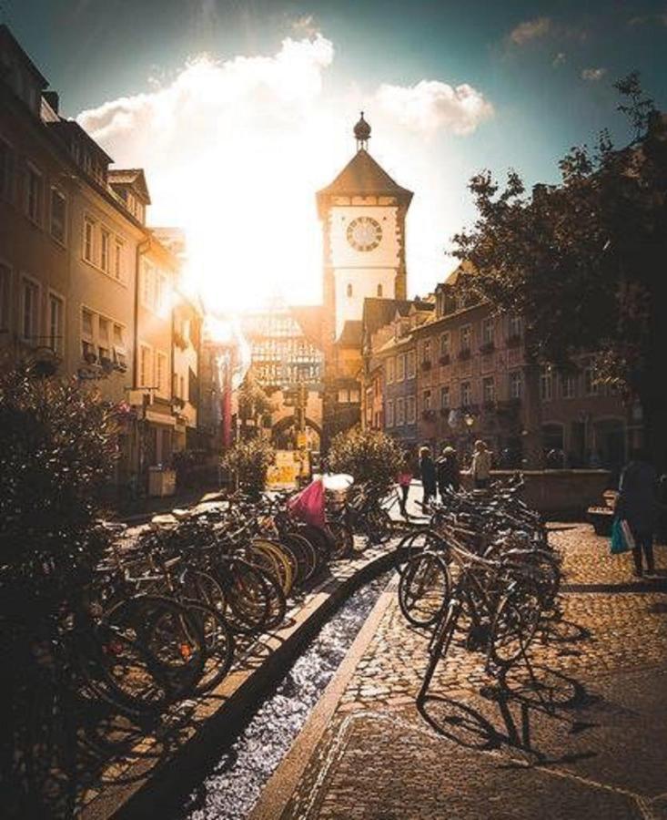 Deluxe Studio 9 In Der Altstadt Lägenhet Freiburg im Breisgau Exteriör bild